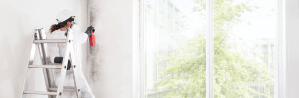 Best Mold Prevention Services  in Miami Springs, FL