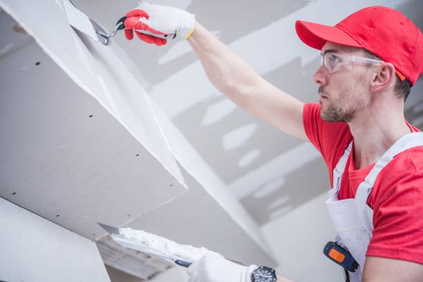 Best Air Quality Testing for Mold Spores  in Miami Springs, FL